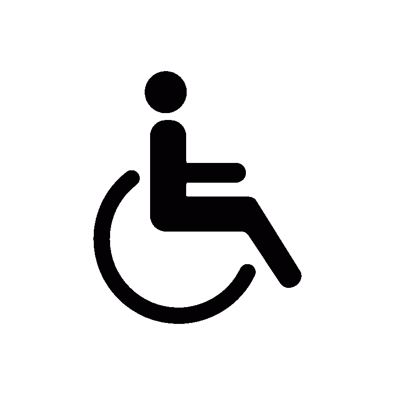 ikonka z niepełnosprawnością