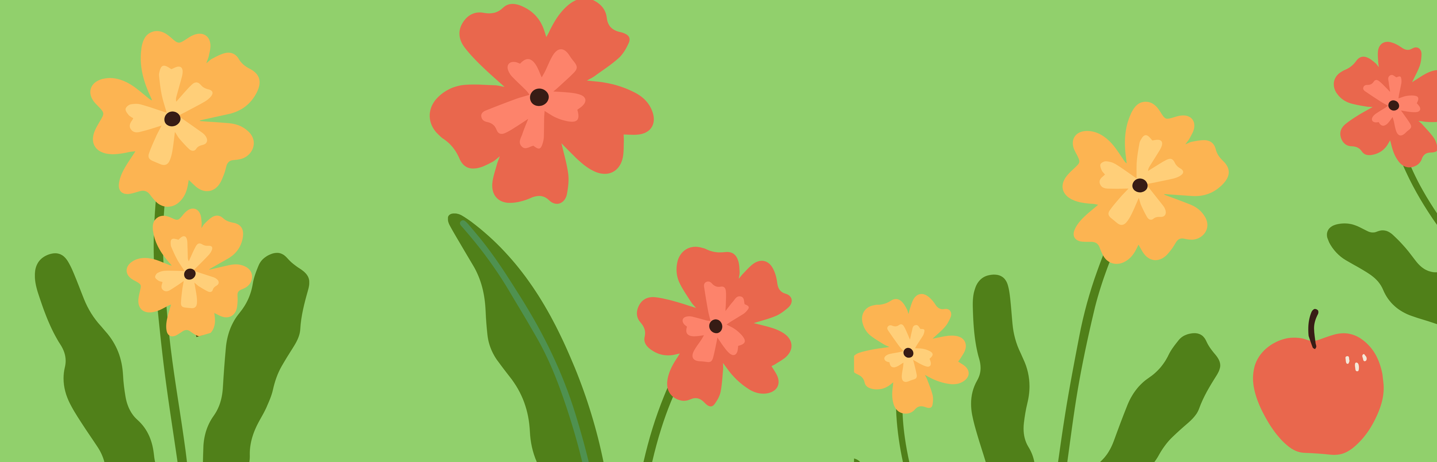 baner